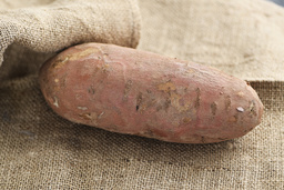 Så här har vi vant oss vid att en sötpotatis ska se ut. Men det finns en mångfald av sorter, som varierar i både färg och form. Arkivbild.