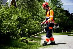 Ett klassiskt sommarjobb – klippa gräs. Arkivbild.