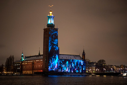 Alla ljusinstallationer har på något vis hämtat inspiration från Nobelpriset och Nobelprisbelönade insatser. ”Earth from Space” smyckar Stadshuset.
