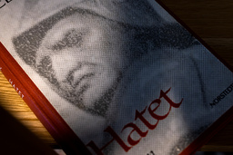 Harry Schein trodde att omslagsbilden till romanen 'Hatet' föreställde Olof Palme, men den är hämtad från en staty i Venedig: Bartolomeo Colleoni till häst, gjord av Verrochio.