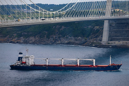 Fartyget Razoni fick segla vidare mot Libanon i onsdags efter att lasten blivit inspekterad och godkänd utanför Istanbul, Turkiet.