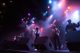 The Pogues på festivalen Way Out West i Slottsskogen i Göteborg 2007.