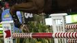 Hopphästen Chromatic BF avled vid världscupfinalen i Riyad. Arkivbild.