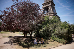 Marsfältet vid Eiffeltornet erbjuder skugga under varma dagar i Paris. Arkivbild.