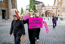 Demonstration utanför Riksdagen för kors rätt till bete utomhus.