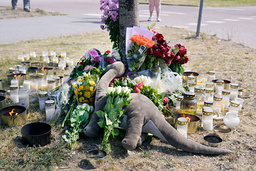 Minnesplats med blommor och gosedjur dagen efter att pojken dog efter att blivit påkörd när han cyklade i Märsta juni 2023