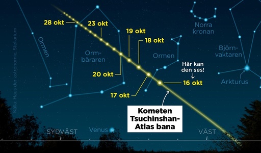 Mellan den 12 och 30 oktober är kometen Tsuchinshan-Atlas synlig på norra halvklotet.