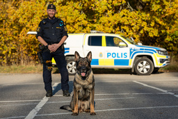 Årets polishund Hank med hundförare Johan Ericsson.