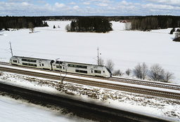 En ny metod med högtalarsystem längs tågspåren kan leda till färre viltolyckor, hoppas forskare. Arkivbild.