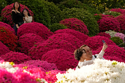 I oktober hade Japan drygt 3,3 miljoner utländska turister, nytt månadsrekord för landet. Arkivbild.