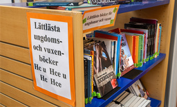 Skolbiblioteket på Enbacksskolan i Tensta. Arkivbild.