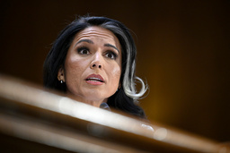 Tulsi Gabbard, nominerad till att bli nationell underrättelsechef, under sin utfrågning i senaten.