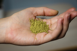 Den beroendeframkallande växtdrogen kratom narkotikaklassas av regeringen. Arkivbild.