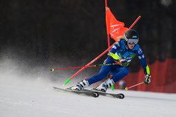 Ebba Årsjö under lördagens VM-storslalom.