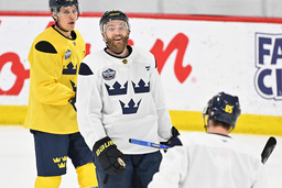 Tre Kronors kraftfulle back Mattias Ekholm.