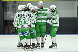 Västerås är klart för semifinal i bandyns SM-slutspel efter 4–3 borta mot Sirius i den femte och avgörande kvartsfinalen. Arkivbild.