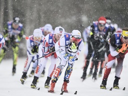 2015 var senast Falun arrangerade skid-VM. Det året valde Vasaloppsledningen att flytta fram sina evenemang en vecka framåt.