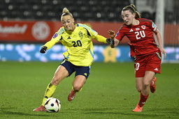 Blir det ett fotbolls-EM på hemmaplan 2029 för Hanna Bennison och landslagskamraterna? Sverige och Danmark har nu skickat in en preliminär ansökan.