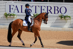 En av sponsorerna till Falstebo Horse Show hoppar nu av årets tävling. Arkivbild.