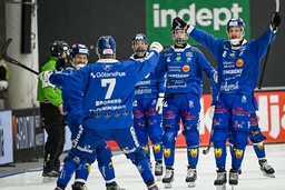 Villa var överlägsna på herrsidan i SM-finalen i bandy.