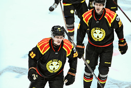 Brynäs Jakob Silfverberg (#33) gjorde ett av Brynäs fyra mål i lagets andra seger i kvartsfinalserien mot Malmö. Arkivbild.