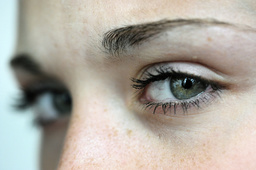 Våra moderna ögon har utvecklats via en avlägsen förfader som bara hade ett öga, visar en ny studie. Arkivbild.