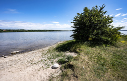 Vombsjön en junidag 2020.