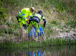Personal plockar upp döda fiskar och ålar efter utsläppet. 