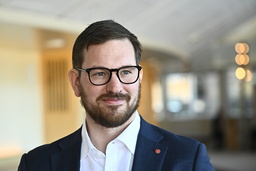 Håkan Svenneling (V), utrikespolitisk talesperson.