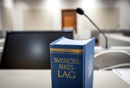 Hovrätten fastställer den fällande domen, men sänker straffet från livstid till det längsta tidsbestämda straffet. Arkivbild.